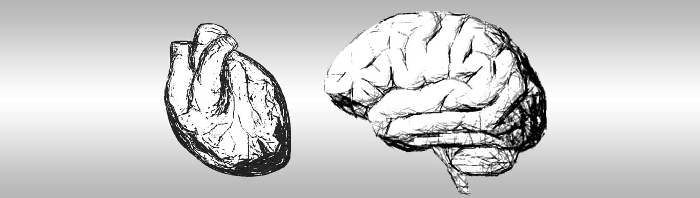 Brain and Heart renderings