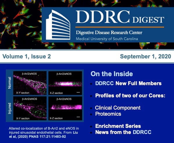 DDRCC Digest newsletter image