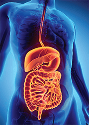 Gastroenterology Graphic