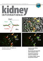 Kidney International web