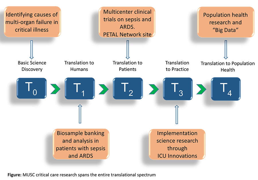 critical care research and practice