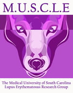 MUSCLE logo