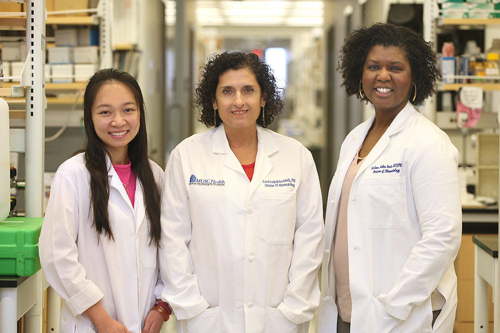 Researchers in lab