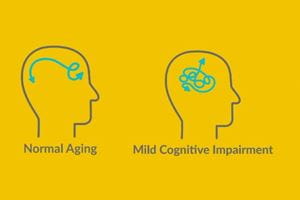 Normal aging verses mild cognitive impairment