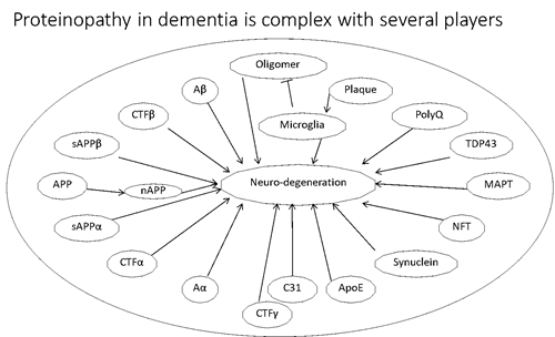 Sambamurti neurodegeneration