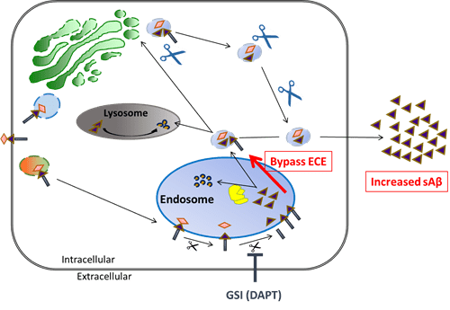 Sambamurti research