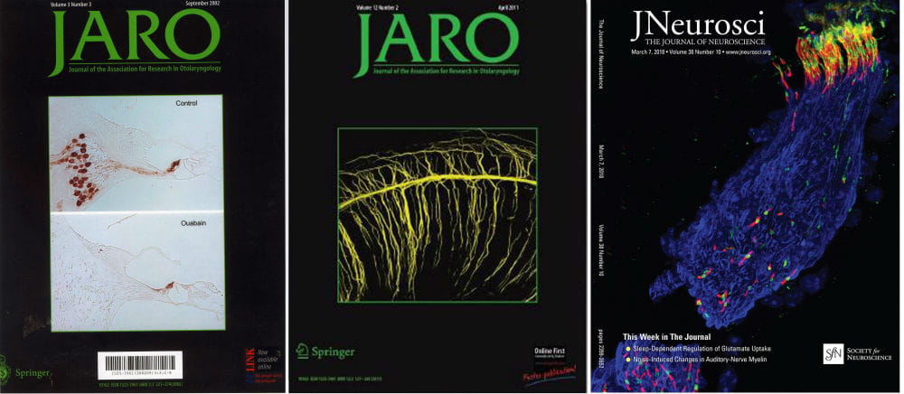 Recent journal publication covers