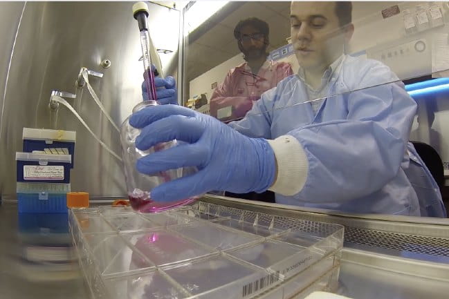 Image of a man in a research lab handling a sample.