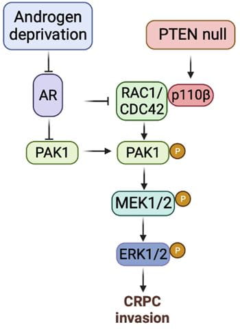 Gao Lab Figure 1