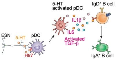 Zhang Lab Figure 2