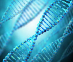 Graphic of multiple DNA double helices on a blue background