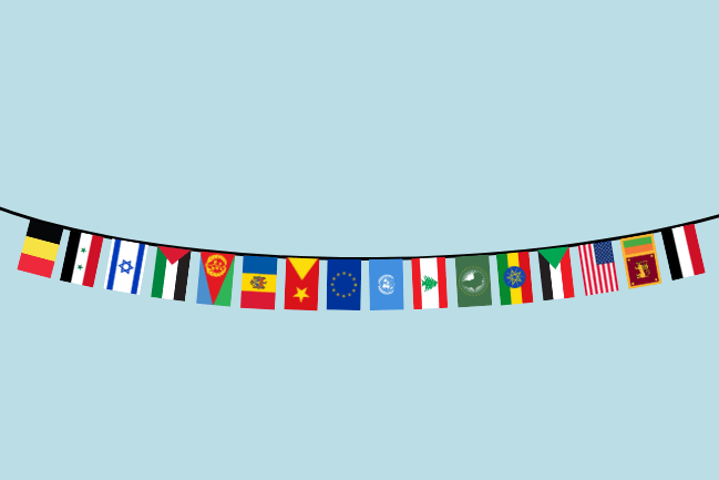 Banner of flags from represented countries for the DPHS Global Health Symposium