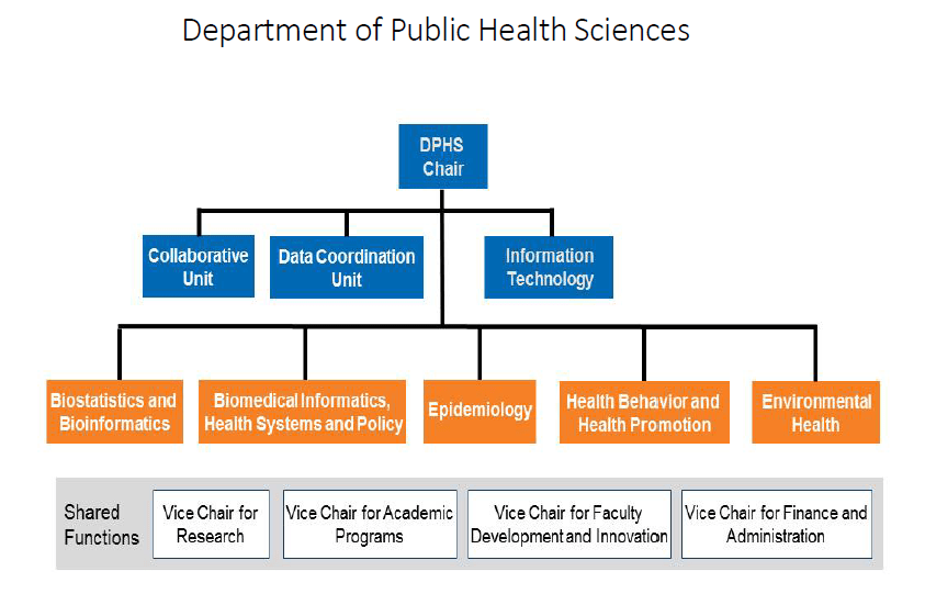 Public Health Organizational Chart