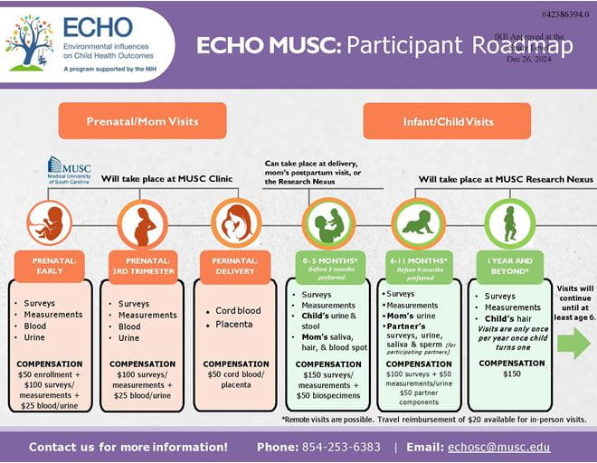 participant roadmap