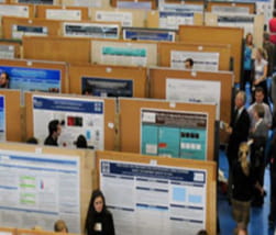 Arial view of multiple rows of research posters displayed on boards