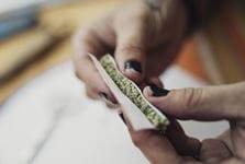 Image of hands rolling a marijuana cigarette