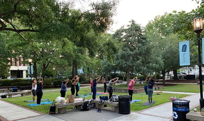 Yoga in the Park