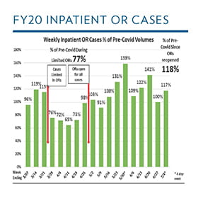 Fiscal Year 2020 inpatient OR cases for annual report 