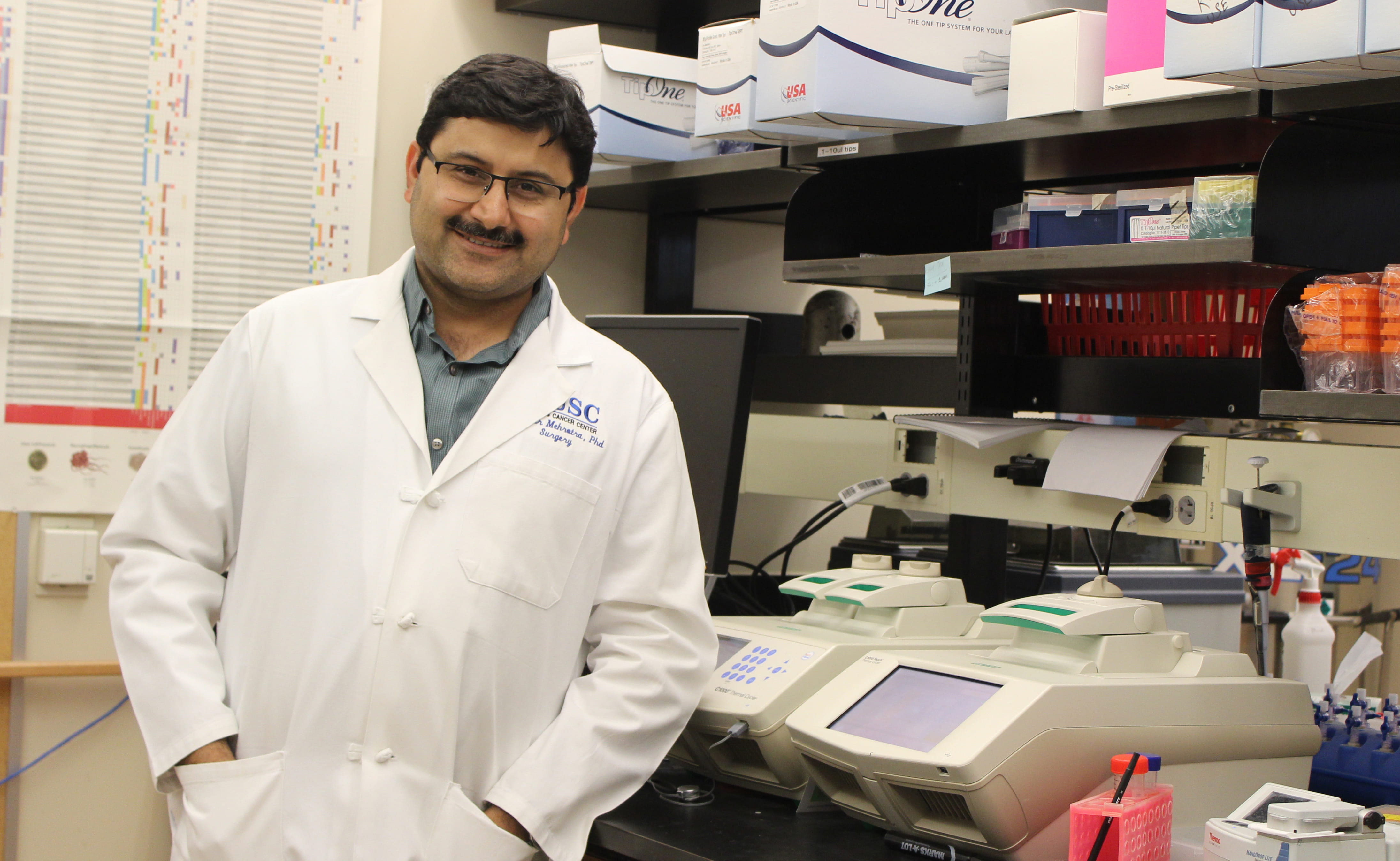 Dr. Mehrotra in the Lab
