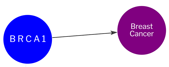 Image showing the relationship of the BRCA1 gene to Breast Cancer
