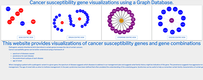 Cancer Susceptibility Gene Visualizations using a Graph Database image