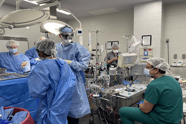 Partial heart transplant 