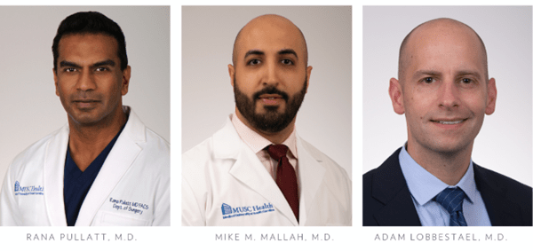 Dr Pullatt Dr Mallah and Dr Lobbestael