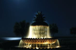 Pineapple Fountain