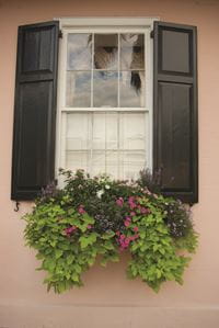Window Box
