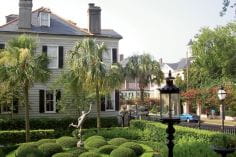 Charleston Garden