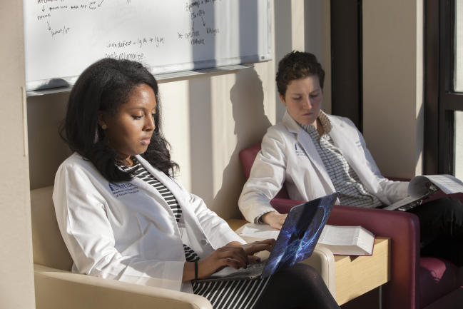 MD students studying with laptops