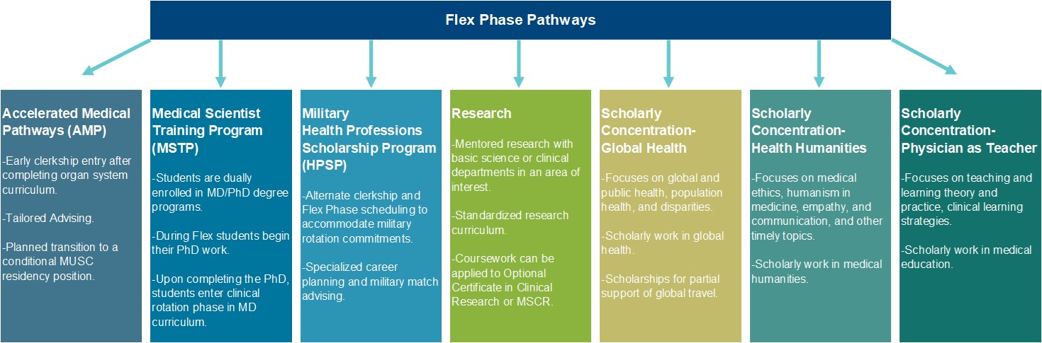 FLEX Phase Pathway Chart Image