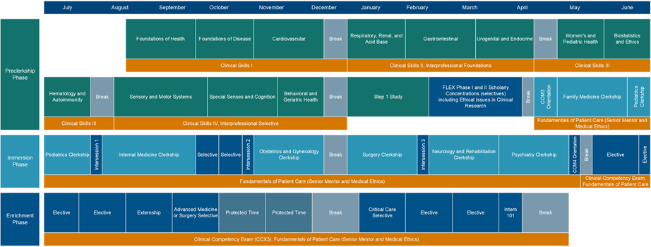 COM Traditional 4 year Curriculum schematic