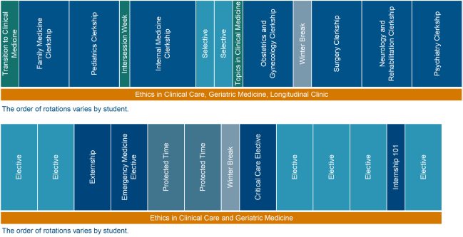 Schematic of Year 3 and Year 4 of the AnMed Clinical Campus timeline