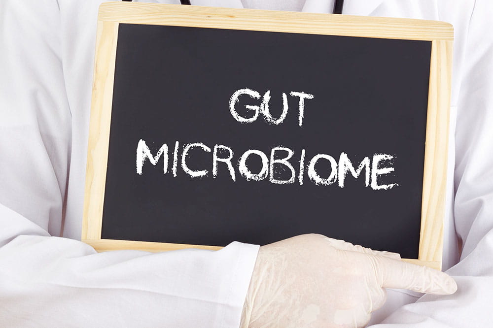 Doctor holding gut microbiome sign