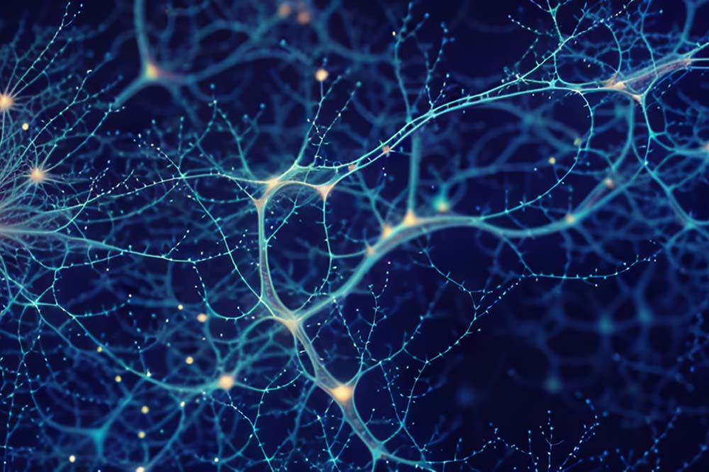 Illustration of neurons in light and dark blue.